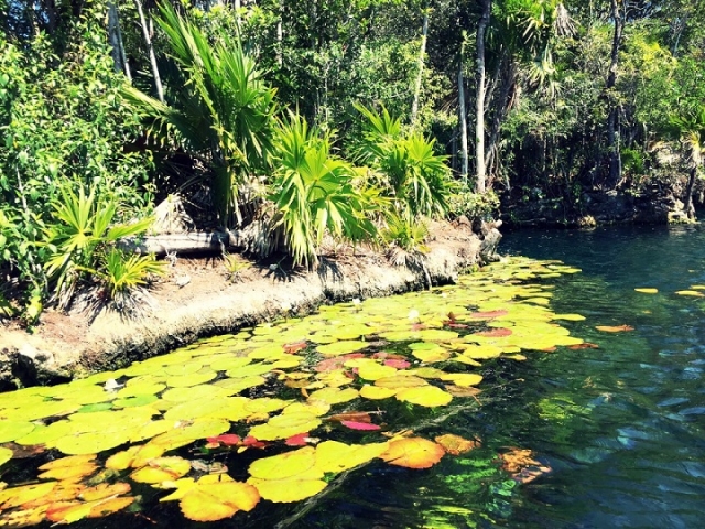paisajes de cancun